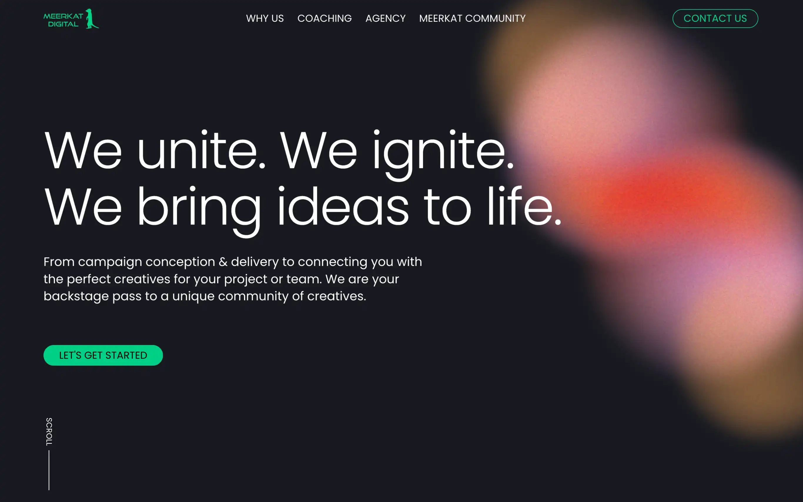 Meerkat Digital landing page view